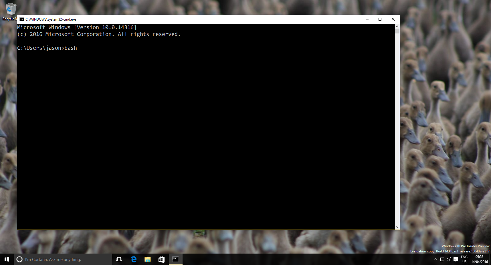 Screenshot (7)