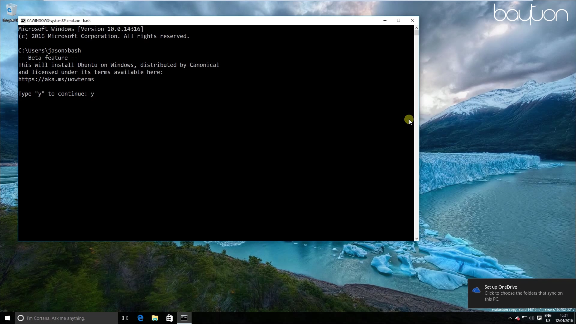 bash-y